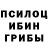 Псилоцибиновые грибы Psilocybine cubensis Bailey Muscha