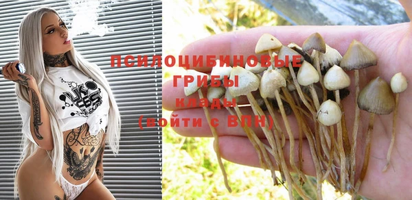 spice Надым