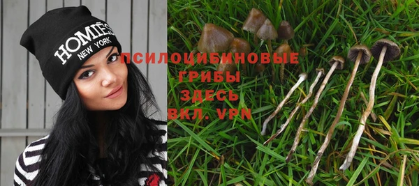 spice Надым