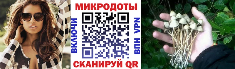 закладка  мега сайт  Псилоцибиновые грибы Psilocybe  Чегем 